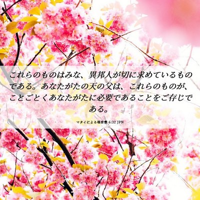 Picture 06 - マタイによる福音書 6:32 JPN - これらのものはみな、異邦人が切に - Bible Verse Picture