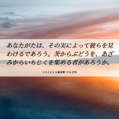 Picture 06 - マタイによる福音書 7:16 JPN - あなたがたは、その実によって彼ら - Bible Verse Picture