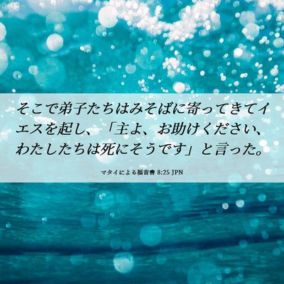 Picture 06 - マタイによる福音書 8:25 JPN - そこで弟子たちはみそばに寄ってき - Bible Verse Picture