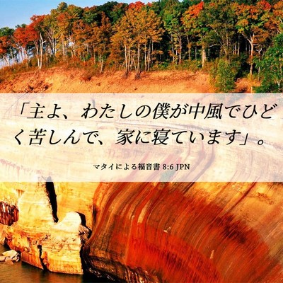Picture 06 - マタイによる福音書 8:6 JPN - 「主よ、わたしの僕が中風でひどく - Bible Verse Picture