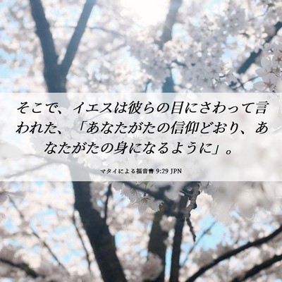 Picture 06 - マタイによる福音書 9:29 JPN - そこで、イエスは彼らの目にさわっ - Bible Verse Picture