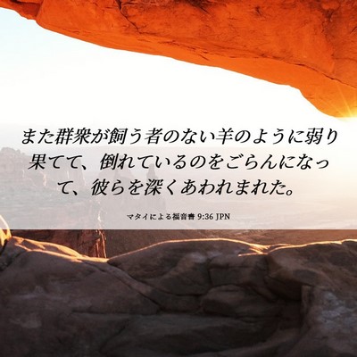 Picture 06 - マタイによる福音書 9:36 JPN - また群衆が飼う者のない羊のように - Bible Verse Picture
