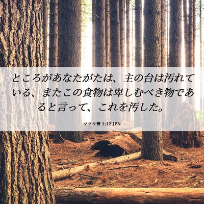 Picture 06 - マラキ書 1:12 JPN - ところがあなたがたは、主の台は汚 - Bible Verse Picture