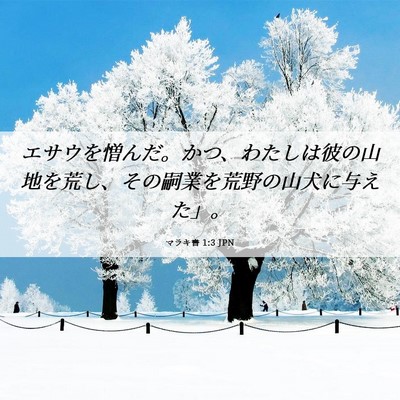 Picture 06 - マラキ書 1:3 JPN - エサウを憎んだ。かつ、わたしは彼 - Bible Verse Picture