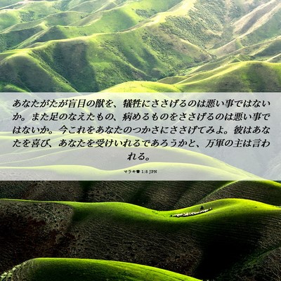 Picture 06 - マラキ書 1:8 JPN - あなたがたが盲目の獣を、犠牲にさ - Bible Verse Picture