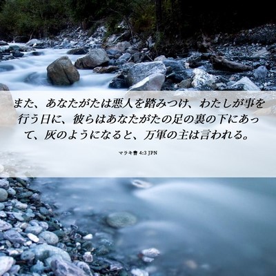 Picture 06 - マラキ書 4:3 JPN - また、あなたがたは悪人を踏みつけ - Bible Verse Picture