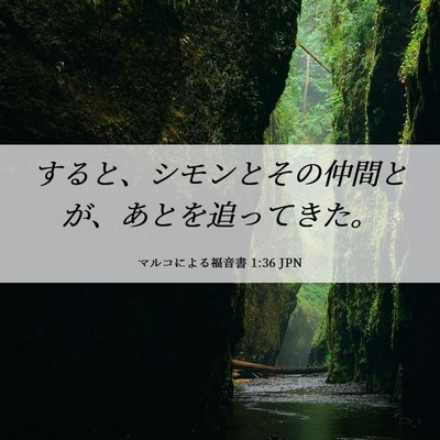 Picture 06 - マルコによる福音書 1:36 JPN - すると、シモンとその仲間とが、あ - Bible Verse Picture