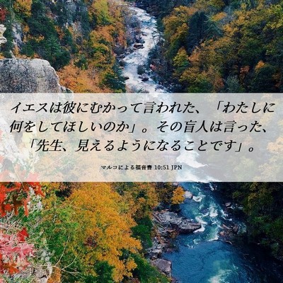 Picture 06 - マルコによる福音書 10:51 JPN - イエスは彼にむかって言われた、「 - Bible Verse Picture