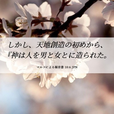 Picture 06 - マルコによる福音書 10:6 JPN - しかし、天地創造の初めから、『神 - Bible Verse Picture