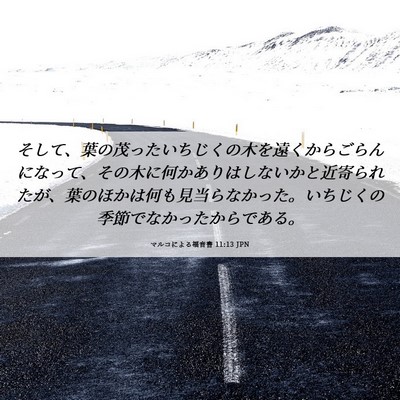 Picture 06 - マルコによる福音書 11:13 JPN - そして、葉の茂ったいちじくの木を - Bible Verse Picture