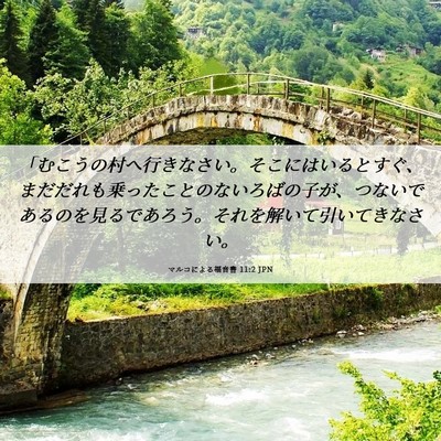 Picture 06 - マルコによる福音書 11:2 JPN - 「むこうの村へ行きなさい。そこに - Bible Verse Picture