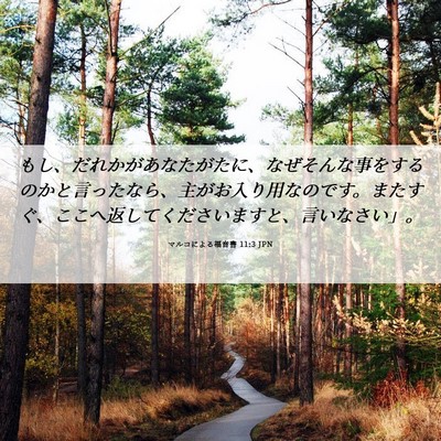 Picture 06 - マルコによる福音書 11:3 JPN - もし、だれかがあなたがたに、なぜ - Bible Verse Picture