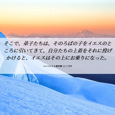 Picture 06 - マルコによる福音書 11:7 JPN - そこで、弟子たちは、そのろばの子 - Bible Verse Picture