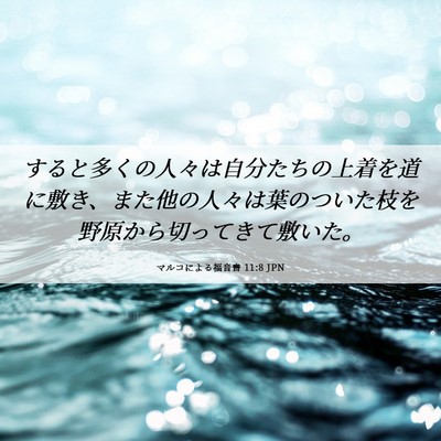 Picture 06 - マルコによる福音書 11:8 JPN - すると多くの人々は自分たちの上着 - Bible Verse Picture