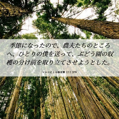 Picture 06 - マルコによる福音書 12:2 JPN - 季節になったので、農夫たちのとこ - Bible Verse Picture