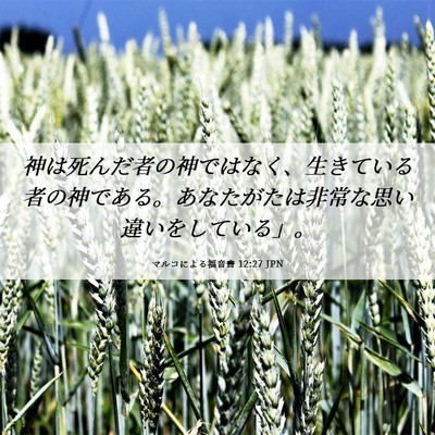 Picture 06 - マルコによる福音書 12:27 JPN - 神は死んだ者の神ではなく、生きて - Bible Verse Picture