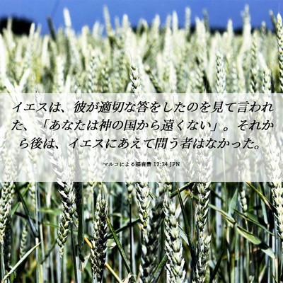 Picture 06 - マルコによる福音書 12:34 JPN - イエスは、彼が適切な答をしたのを - Bible Verse Picture