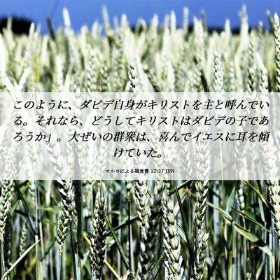 Picture 06 - マルコによる福音書 12:37 JPN - このように、ダビデ自身がキリスト - Bible Verse Picture
