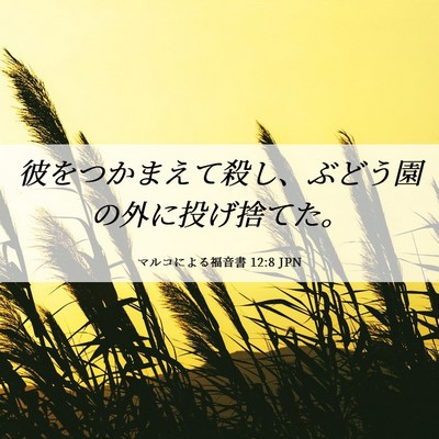 Picture 06 - マルコによる福音書 12:8 JPN - 彼をつかまえて殺し、ぶどう園の外 - Bible Verse Picture