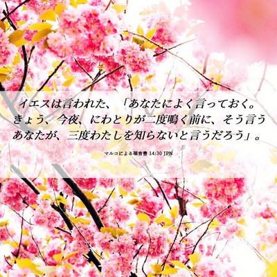 Picture 06 - マルコによる福音書 14:30 JPN - イエスは言われた、「あなたによく - Bible Verse Picture