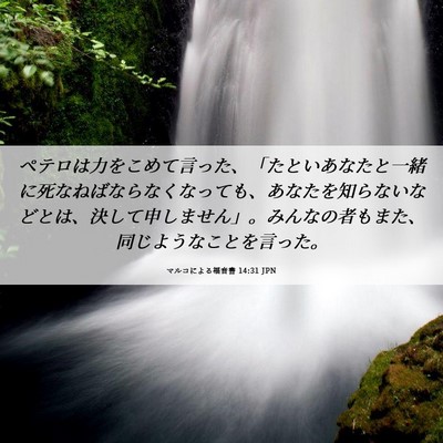 Picture 06 - マルコによる福音書 14:31 JPN - ペテロは力をこめて言った、「たと - Bible Verse Picture