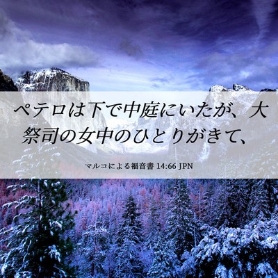 Picture 06 - マルコによる福音書 14:66 JPN - ペテロは下で中庭にいたが、大祭司 - Bible Verse Picture