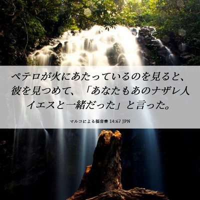 Picture 06 - マルコによる福音書 14:67 JPN - ペテロが火にあたっているのを見る - Bible Verse Picture