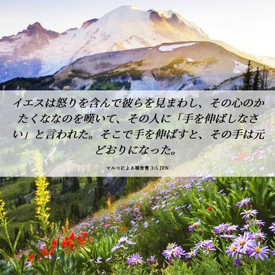 Picture 06 - マルコによる福音書 3:5 JPN - イエスは怒りを含んで彼らを見まわ - Bible Verse Picture
