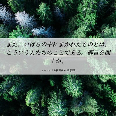 Picture 06 - マルコによる福音書 4:18 JPN - また、いばらの中にまかれたものと - Bible Verse Picture