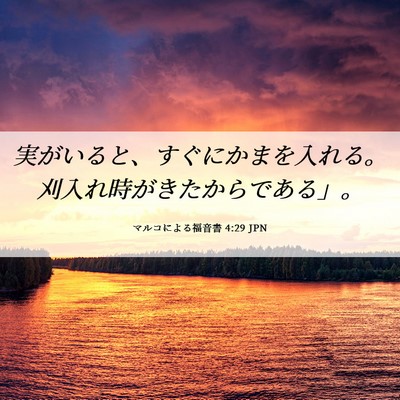Picture 06 - マルコによる福音書 4:29 JPN - 実がいると、すぐにかまを入れる。 - Bible Verse Picture