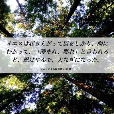 Picture 06 - マルコによる福音書 4:39 JPN - イエスは起きあがって風をしかり、 - Bible Verse Picture