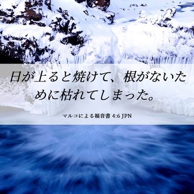 Picture 06 - マルコによる福音書 4:6 JPN - 日が上ると焼けて、根がないために - Bible Verse Picture