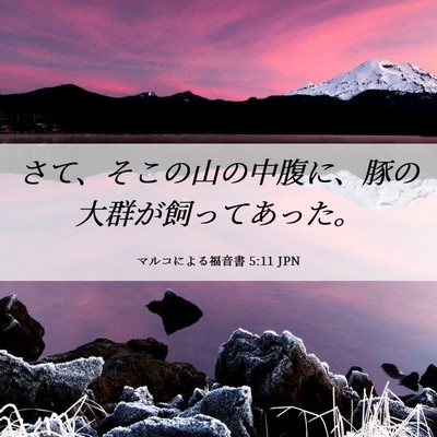 Picture 06 - マルコによる福音書 5:11 JPN - さて、そこの山の中腹に、豚の大群 - Bible Verse Picture