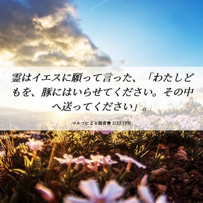 Picture 06 - マルコによる福音書 5:12 JPN - 霊はイエスに願って言った、「わた - Bible Verse Picture