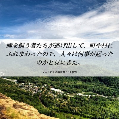 Picture 06 - マルコによる福音書 5:14 JPN - 豚を飼う者たちが逃げ出して、町や - Bible Verse Picture