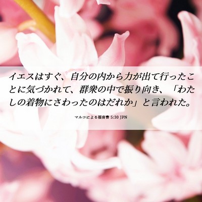 Picture 06 - マルコによる福音書 5:30 JPN - イエスはすぐ、自分の内から力が出 - Bible Verse Picture