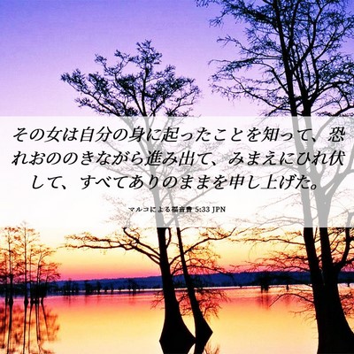 Picture 06 - マルコによる福音書 5:33 JPN - その女は自分の身に起ったことを知 - Bible Verse Picture