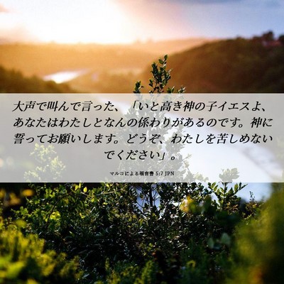 Picture 06 - マルコによる福音書 5:7 JPN - 大声で叫んで言った、「いと高き神 - Bible Verse Picture