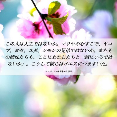 Picture 06 - マルコによる福音書 6:3 JPN - この人は大工ではないか。マリヤの - Bible Verse Picture
