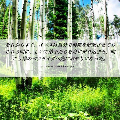 Picture 06 - マルコによる福音書 6:45 JPN - それからすぐ、イエスは自分で群衆 - Bible Verse Picture