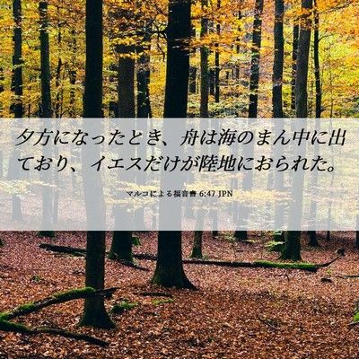 Picture 06 - マルコによる福音書 6:47 JPN - 夕方になったとき、舟は海のまん中 - Bible Verse Picture