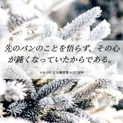 Picture 06 - マルコによる福音書 6:52 JPN - 先のパンのことを悟らず、その心が - Bible Verse Picture