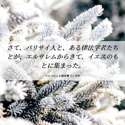 Picture 06 - マルコによる福音書 7:1 JPN - さて、パリサイ人と、ある律法学者 - Bible Verse Picture