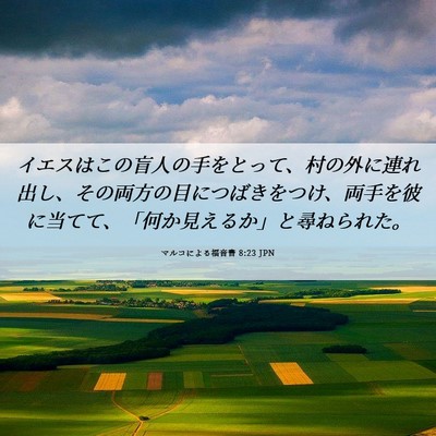 Picture 06 - マルコによる福音書 8:23 JPN - イエスはこの盲人の手をとって、村 - Bible Verse Picture
