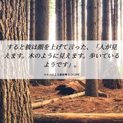 Picture 06 - マルコによる福音書 8:24 JPN - すると彼は顔を上げて言った、「人 - Bible Verse Picture