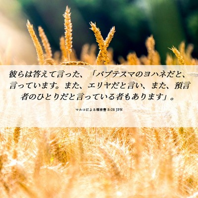 Picture 06 - マルコによる福音書 8:28 JPN - 彼らは答えて言った、「バプテスマ - Bible Verse Picture