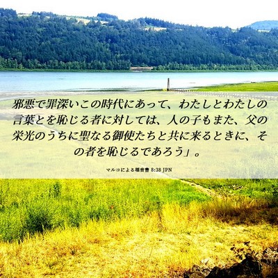 Picture 06 - マルコによる福音書 8:38 JPN - 邪悪で罪深いこの時代にあって、わ - Bible Verse Picture