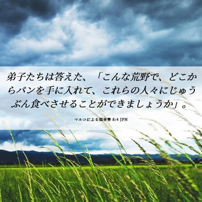 Picture 06 - マルコによる福音書 8:4 JPN - 弟子たちは答えた、「こんな荒野で - Bible Verse Picture