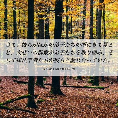 Picture 06 - マルコによる福音書 9:14 JPN - さて、彼らがほかの弟子たちの所に - Bible Verse Picture