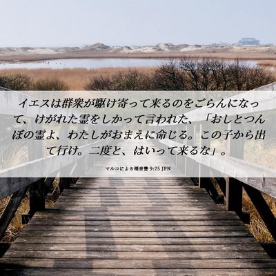Picture 06 - マルコによる福音書 9:25 JPN - イエスは群衆が駆け寄って来るのを - Bible Verse Picture